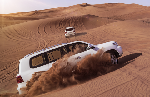 Desert Safari