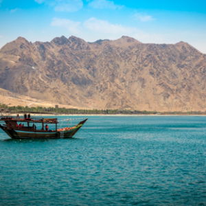 Dibba Day Out
