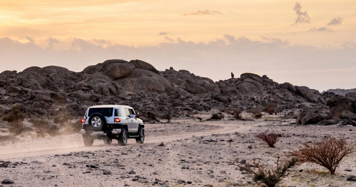 safari-tours